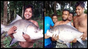 বড়শিতে ধরা পড়লো ৩০ কেজি ওজনের কাতলা