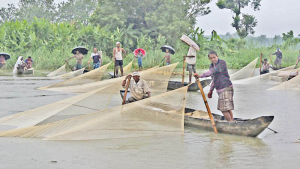 হালদা থেকে সাড়ে ৩ হাজার মিটার ঘেরা জাল জব্দ