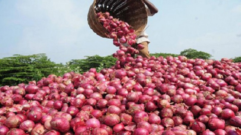 পাইকারি ও খুচরা বাজারে কমেছে পেঁয়াজের দাম