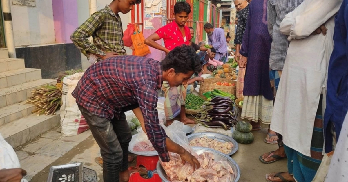 ব্রয়লার মুরগি কেটে ভাগায় বিক্রি, প্রতি কেজি ১৫০