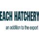 Beach Hatchery Ltd