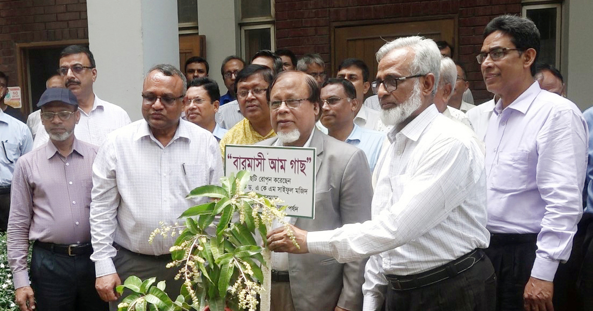 গ্রামীণ ব্যাংকের দেশব্যাপী বৃক্ষরোপণ কর্মসূচি