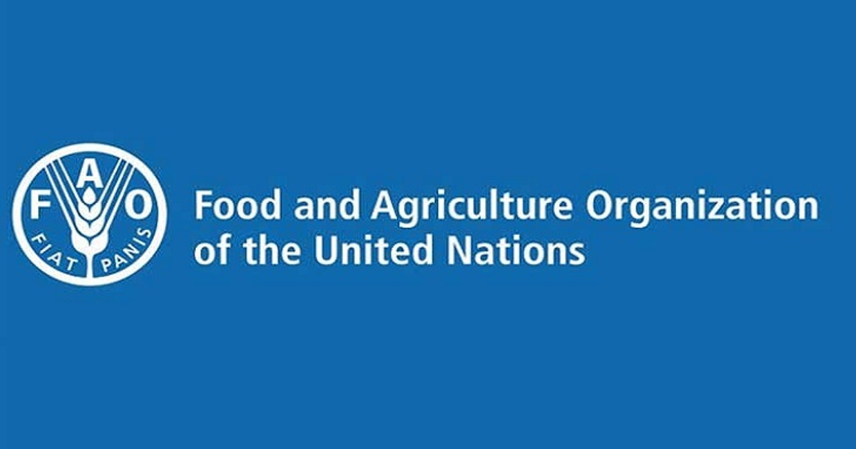 কৃষির তিন প্রকল্প বাস্তবায়নে সহায়তা দেবে এফএও