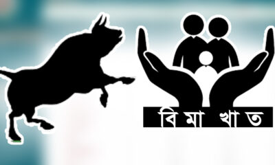 ডিএসই