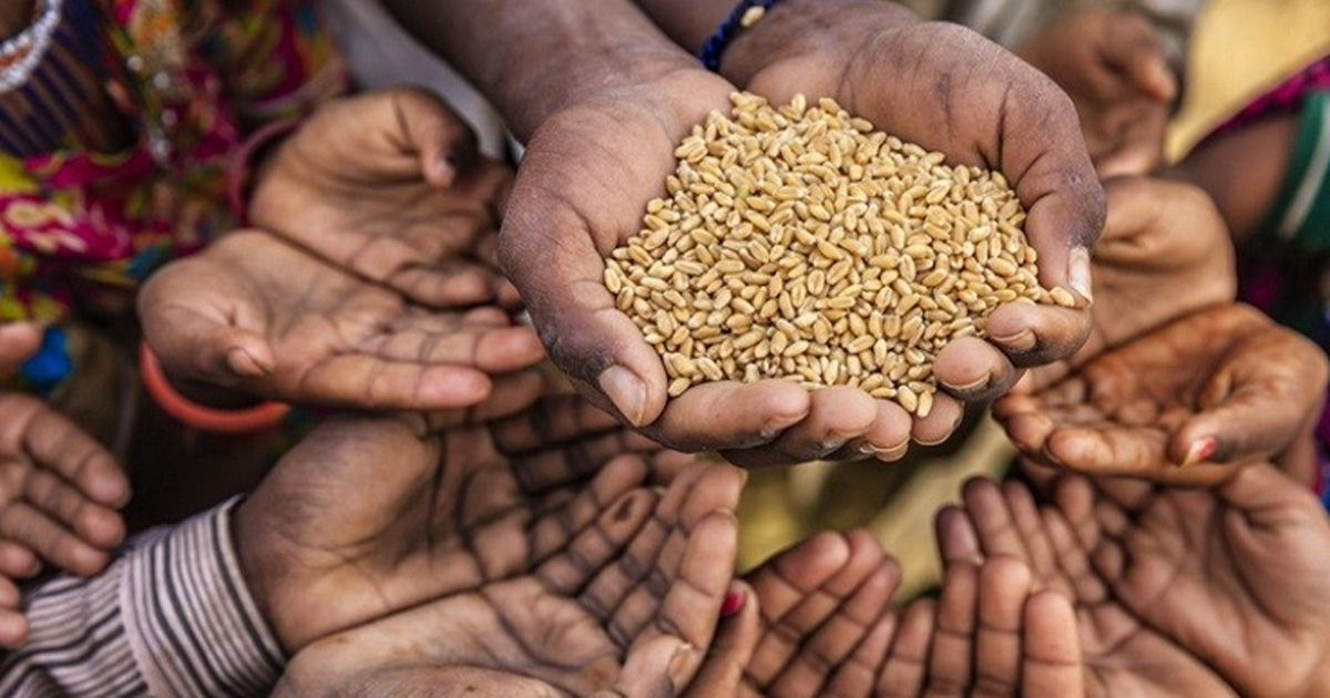 ৬ দেশে বিনামূল্যে গম দেবেন পুতিন