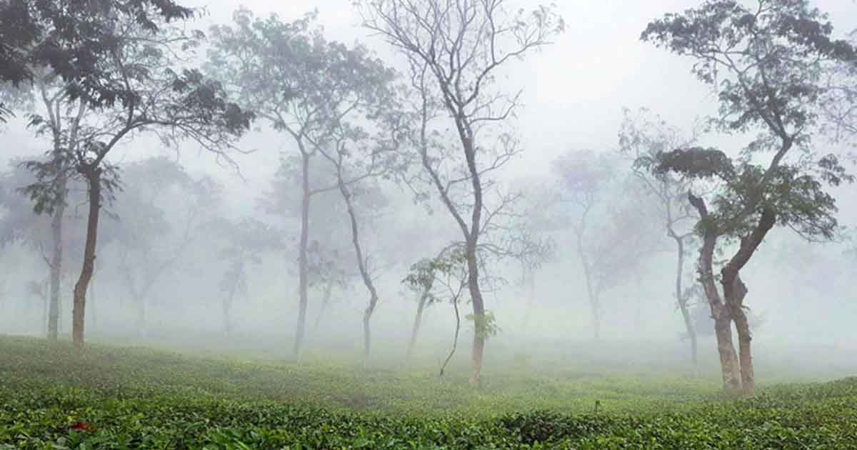 অগ্নি সিস্টেমস