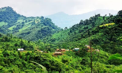 ওয়েস্টার্ন মেরিন