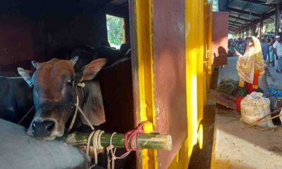 ক্যাপিটাল গেইনে