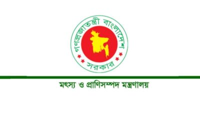 ব্লক