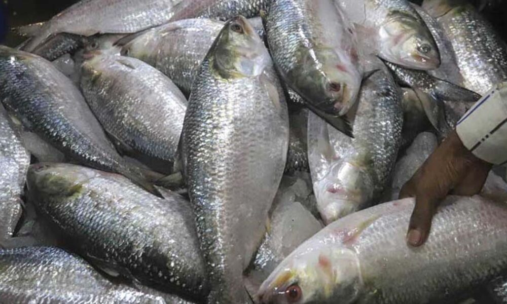 করমুক্ত