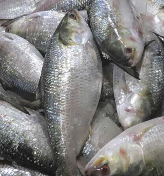 করমুক্ত