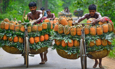 শেয়ার