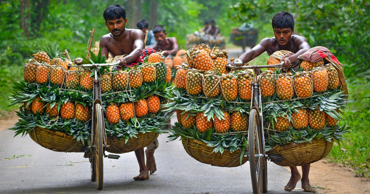 শেয়ার