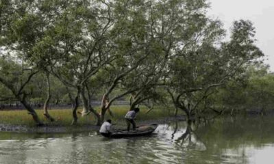 ন্যাশনাল ব্যাংক