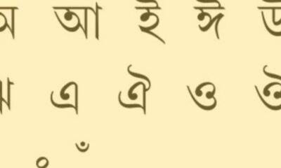 বিএসসি