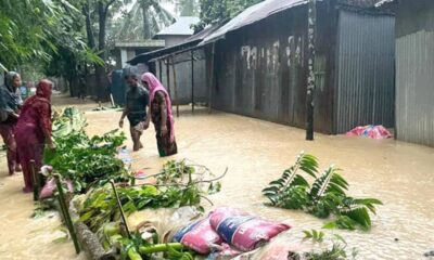 ওয়েস্টার্ন মেরিন