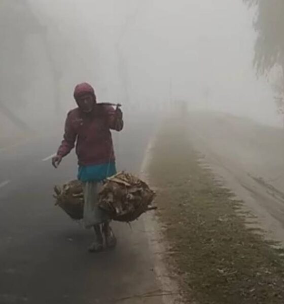 বাজার মূলধন