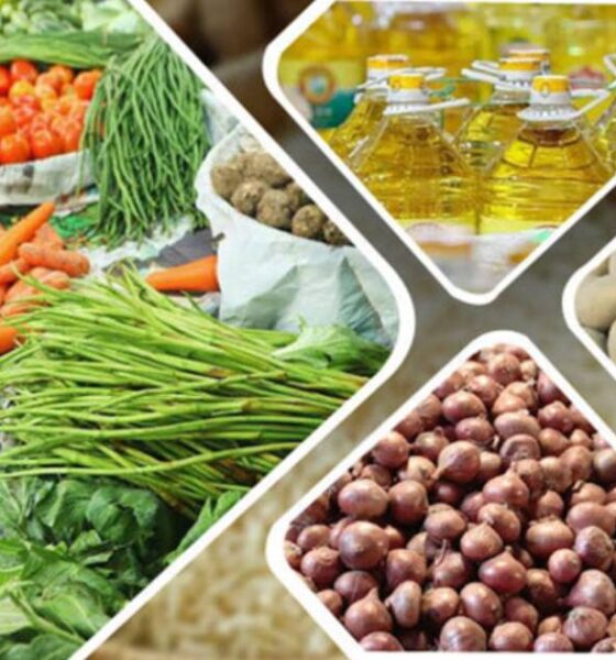 জেনেক্স ইনফোসিস