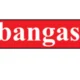রাশেদ মাকসুদ