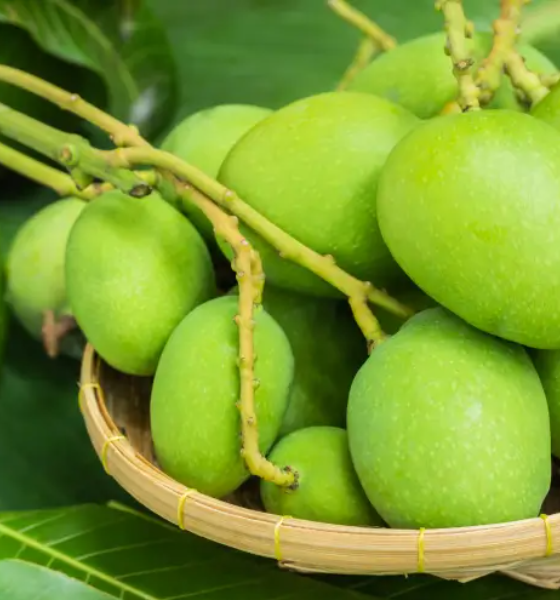 ব্লক