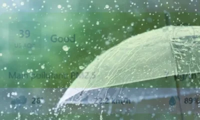 লভ্যাংশ