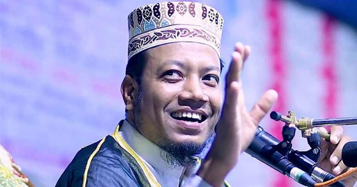 সংসদ নির্বাচনে মনোনয়ন পেলেন আমীর হামজা ব্লকে