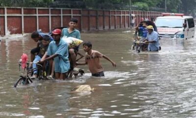 শেয়ারহোল্ডার