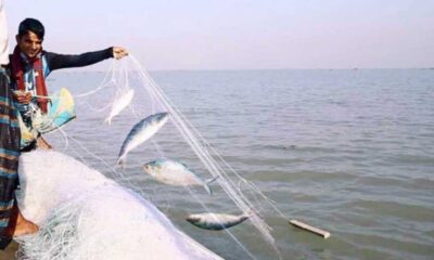 বারাকা