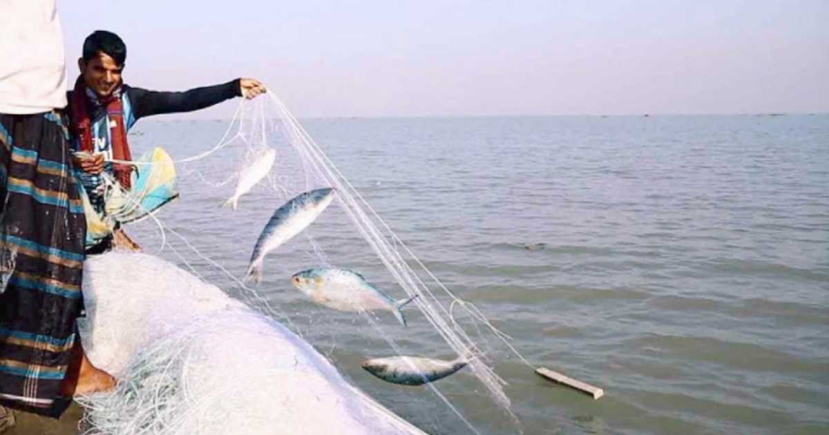 নিষেধাজ্ঞা শেষে ফের ইলিশ ধরা শুরু বারাকা