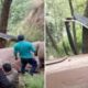 রাশেদ মাকসুদ