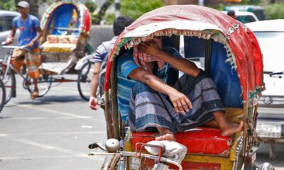 শেয়ার