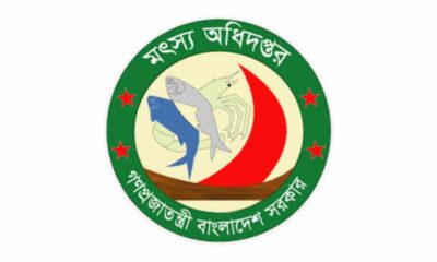 ডিএসই