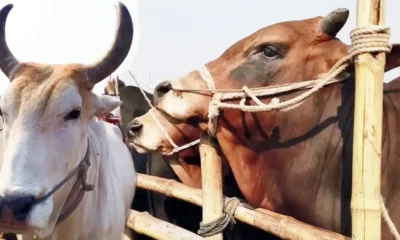ব্লক