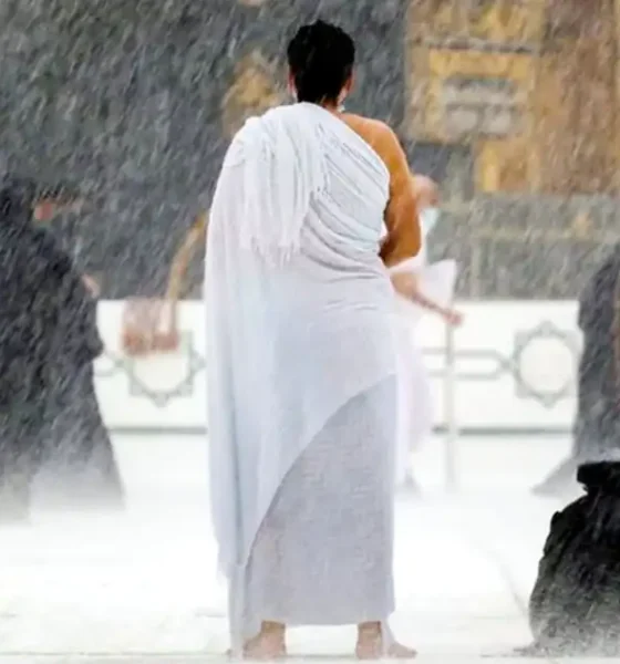 ইউনাইটেড ফাইন্যান্স