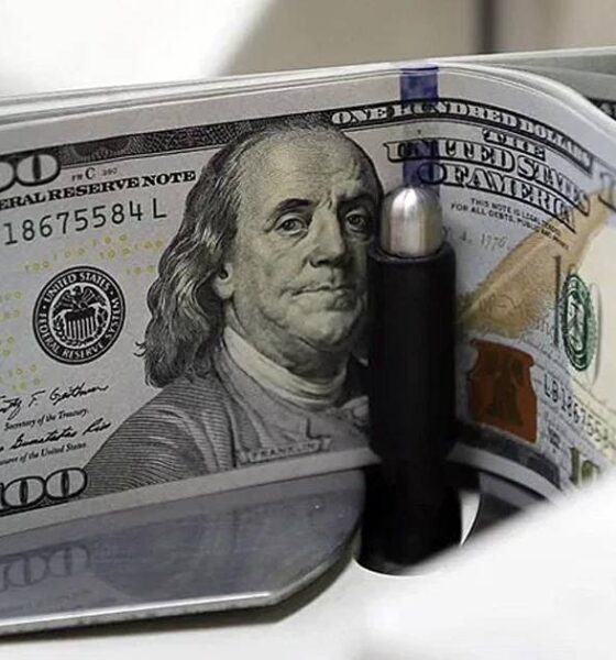 লভ্যাংশ