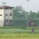 লরিয়েল