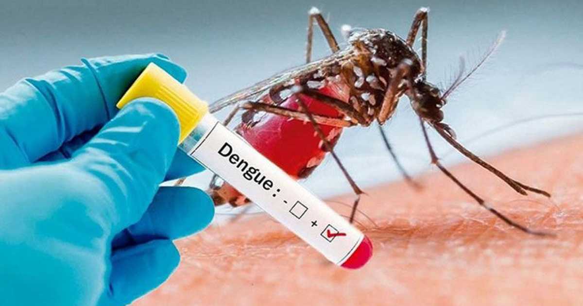 ডেঙ্গুতে একদিনে আক্রান্ত ২৮৮ জন লরিয়েল