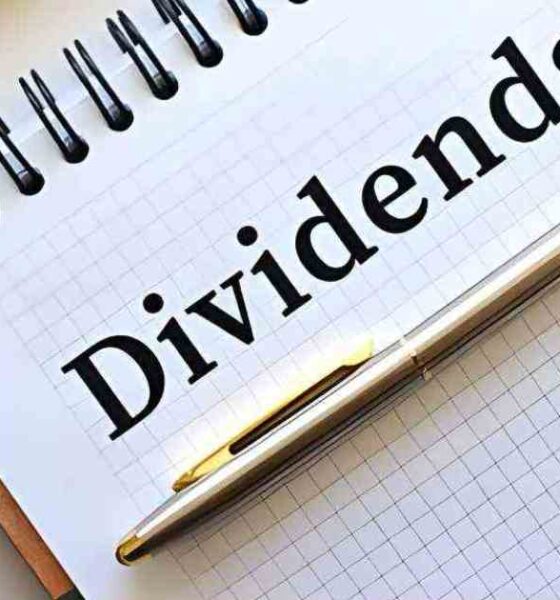 বিনিয়োগকারী