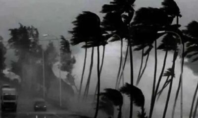 এনসিসি ব্যাংক