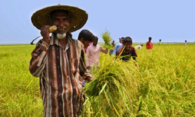 বাজেট