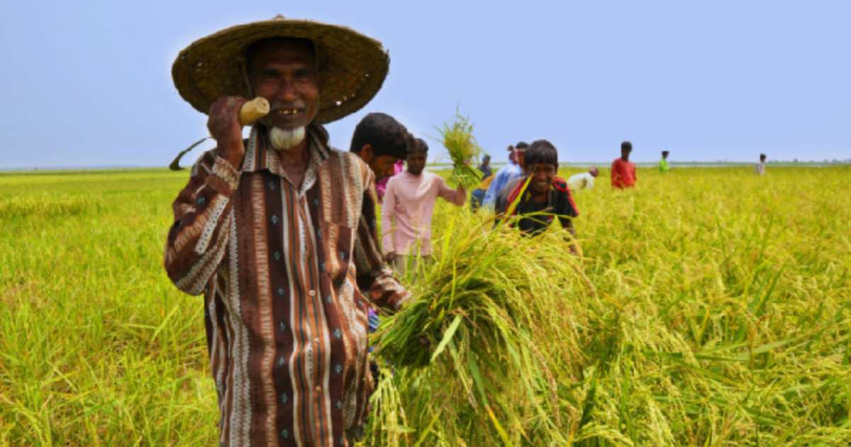 কৃষিতে বরাদ্দ বেড়েছে ১ হাজার ৩৬১ কোটি টাকা বাজেট