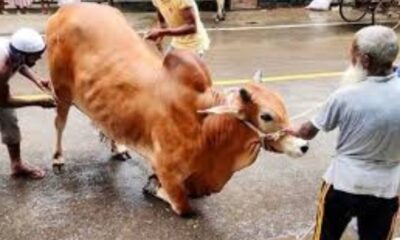এনসিসি ব্যাংক