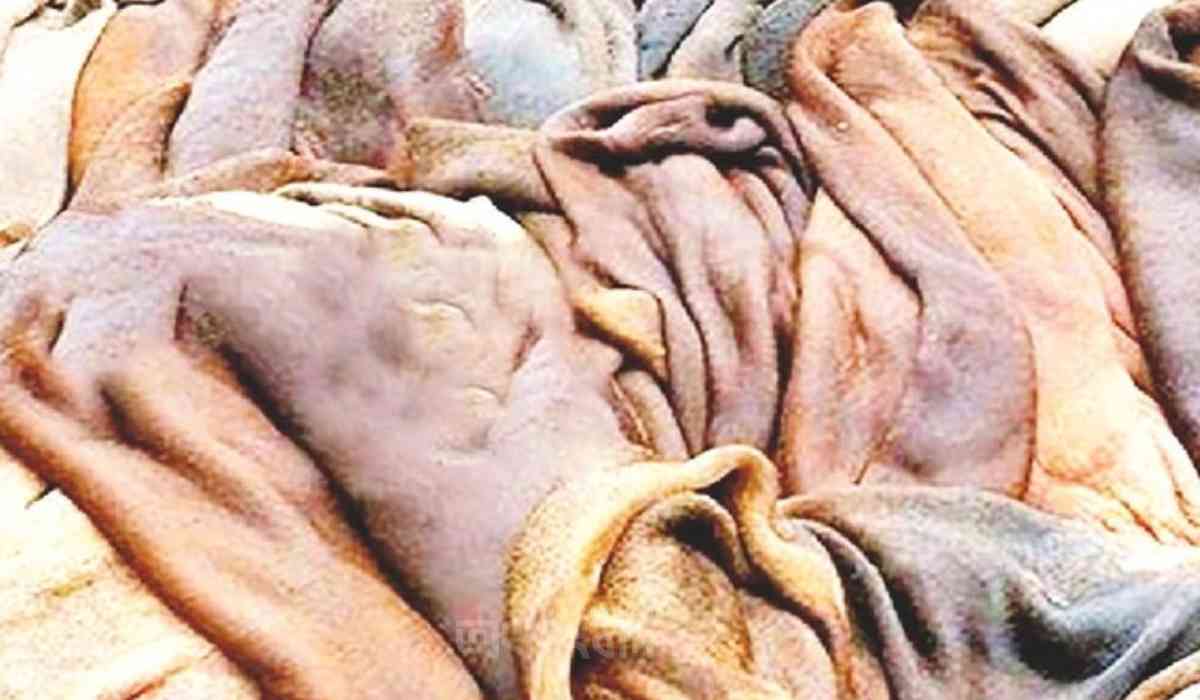 কাগজে চামড়ার দাম বাড়লেও বাজারে বাড়েনি, হতাশ মৌসুমি ব্যবসায়ীরা লরিয়েল