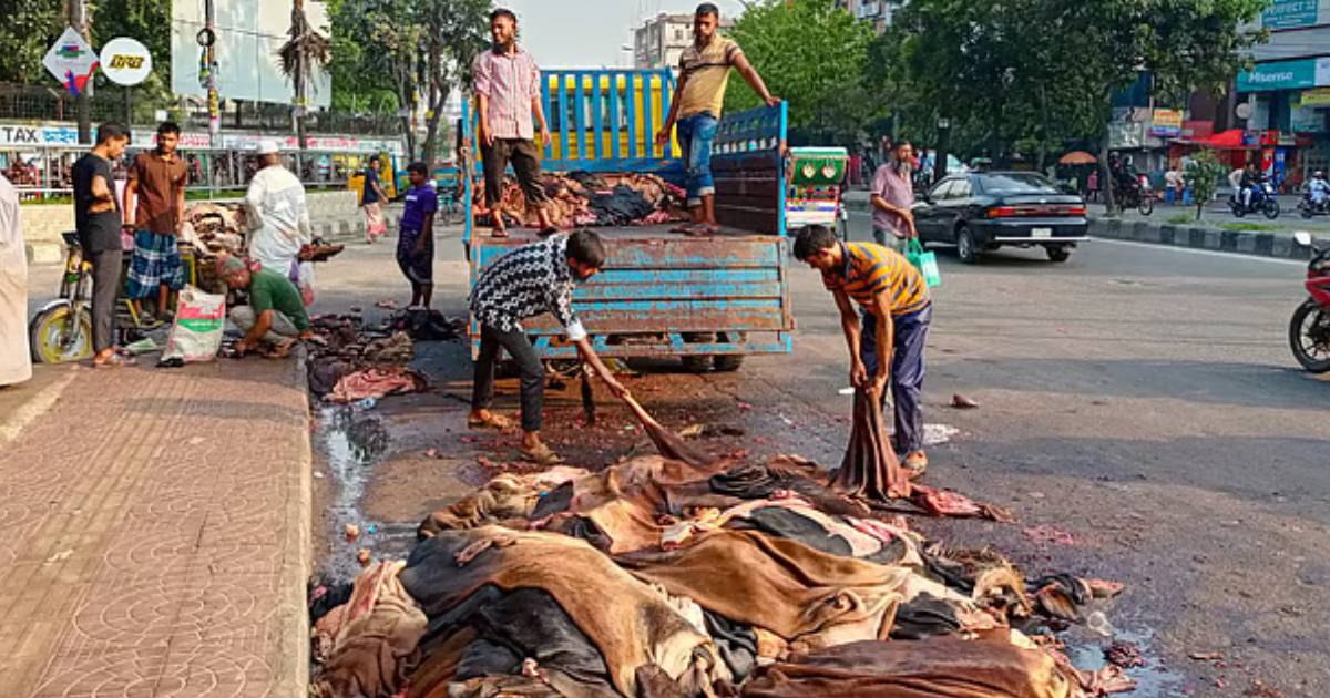 সরকার নির্ধারিত দামে বিক্রি হচ্ছে না চামড়া, হতাশ মৌসুমি ব্যবসায়ীরা বৈদেশিক