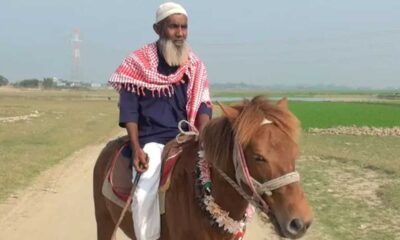 ডিএসই