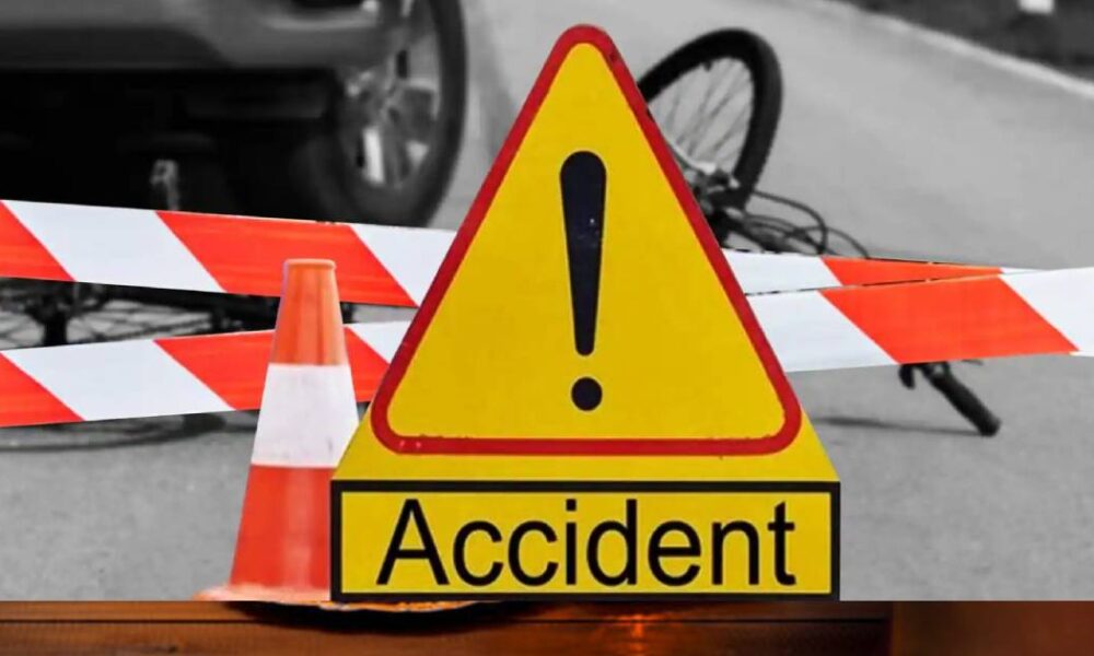 জেনেক্স