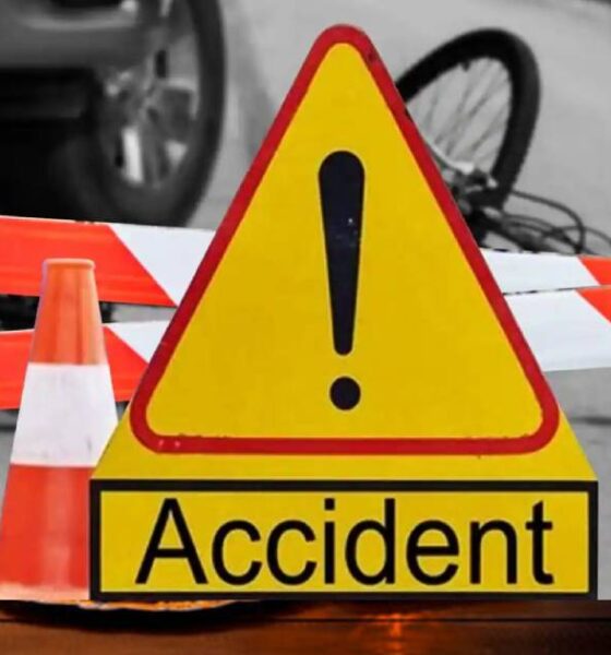 জেনেক্স