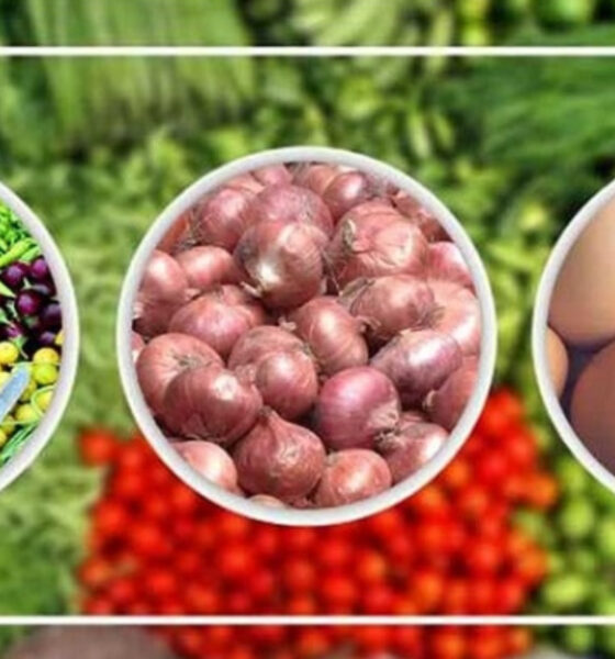 সিটি ব্রোকারেজ