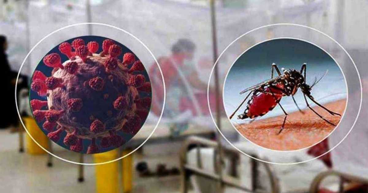 একমাসে করোনা ও ডেঙ্গুতে ৪১ জনের মৃত্যু ডিএসই