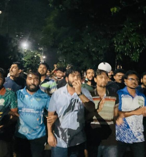 নিউ লাইন